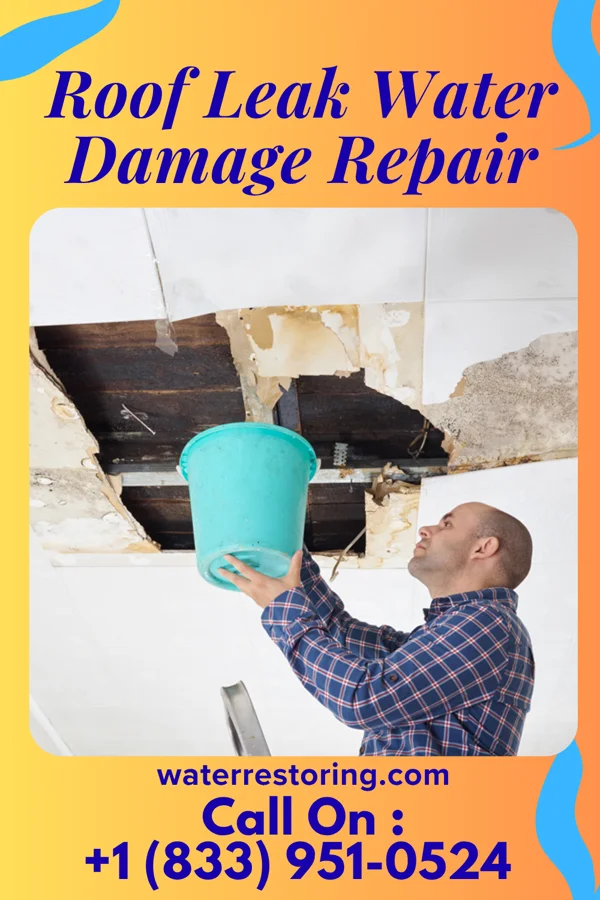 Roof Leak Water Damage Repair in Walnut Hill, IL